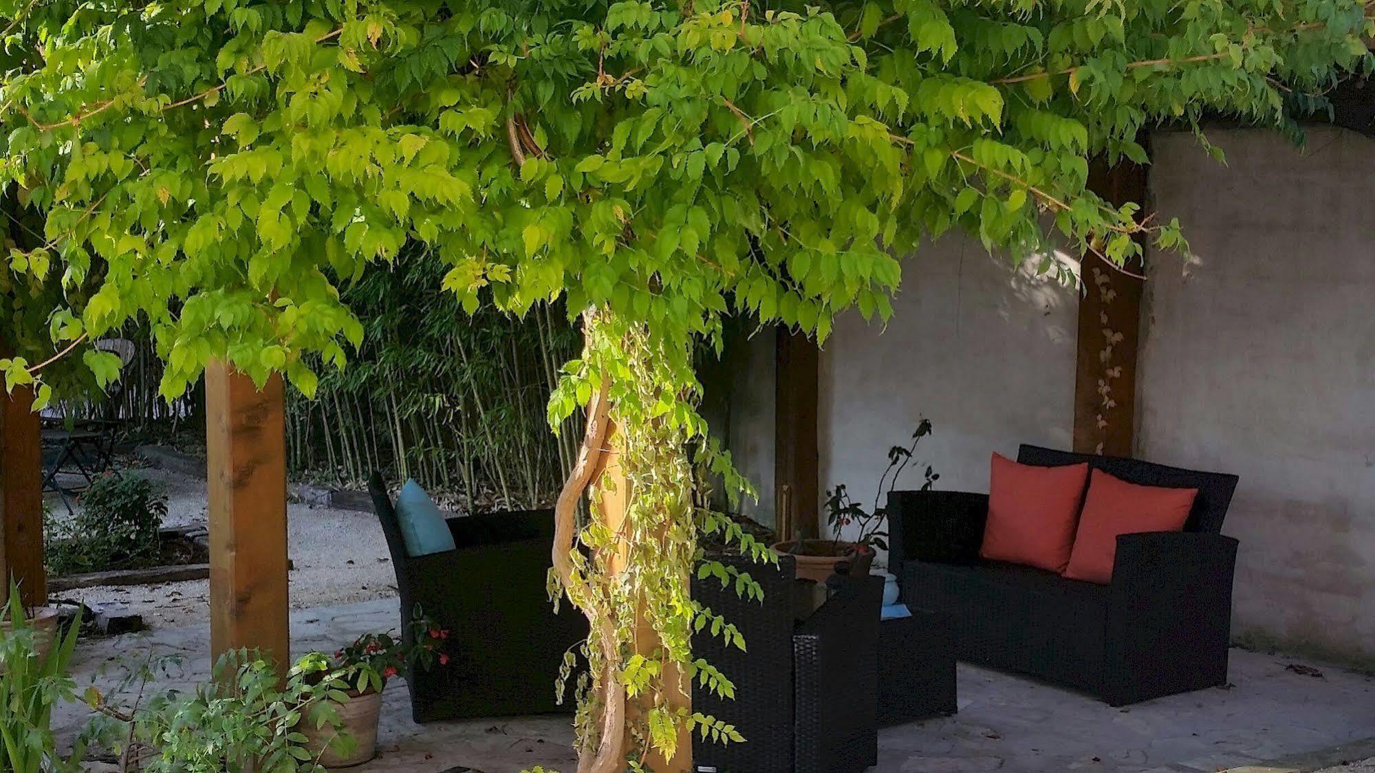 Hotel Le Synaya Sanary-sur-Mer Zewnętrze zdjęcie